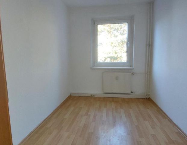 1,5 Raumwohnung im Betreuten Wohnen! - Foto 1