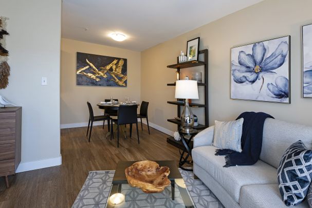 1 bed 1 bath - Photo 1