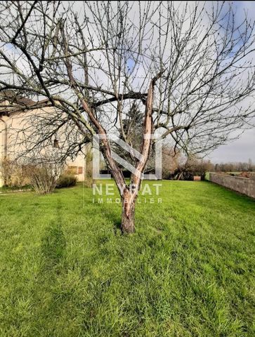 MAISON A LOUER - Photo 4