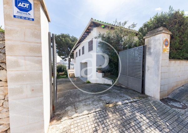 Ground floor apartment for rent in Palmanova