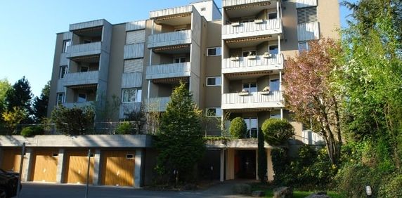 "Bullseye!" - Photo 2