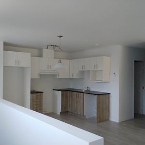 302-1497 Rue Conseil - Photo 3