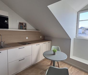 Location Appartement 1 pièce Meublé 16m² NANTES 44000 - Photo 3
