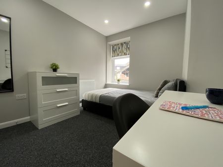 Wyeverne Road, Cathays - Photo 2