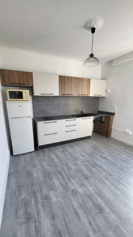 Location Appartement 1 pièce 31m² ANNECY 74000 - Photo 4