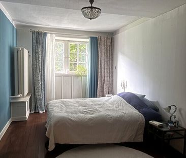 POUR LES AMOUREUX DES CHATS À ZURICH - DISTRICT 2 ÉTROIT, MEUBLÉ, T... - Foto 2