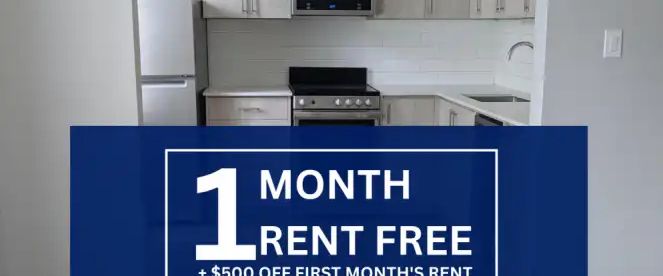 433-437 Jarvis Street | 433-437 Jarvis Street, Toronto - Photo 1