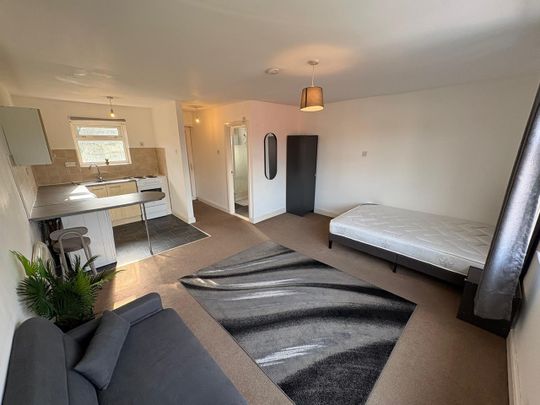 Studio Flat, Brook Road, M14 - Photo 1