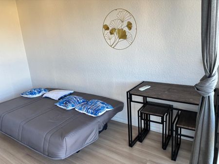 Location Appartement 1 pièce 18m² ROMANS SUR ISERE 26100 - Photo 2