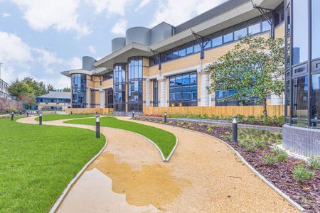 Studio to rent - Photo 5