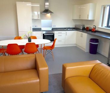 7 bedroom flat to rent - Photo 4