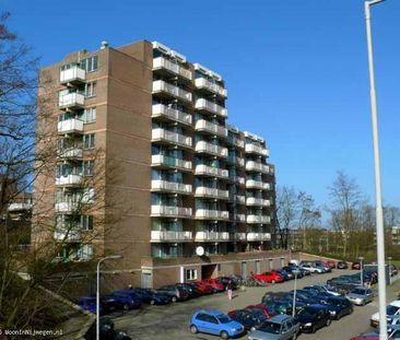 Neerbosscheweg 10-610 - Photo 6