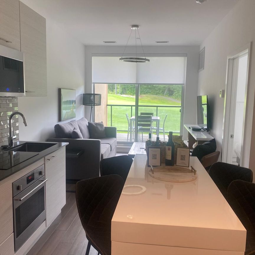 For Lease - 120 Carrick Trail Unit# 302, Gravenhurst, Ontario - Photo 1