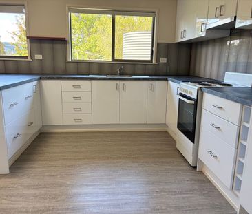 Immaculate 3-Bedroom Rental with Large Fenced Yard - Photo 4
