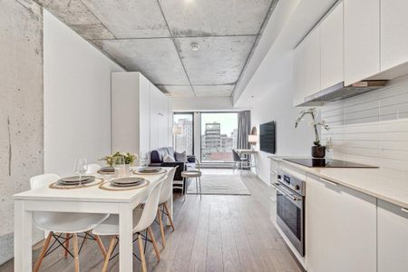 Appartement à louer - Montréal (Ville-Marie) (Centre) - Photo 4