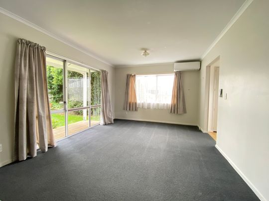 115 Poaka Avenue - Photo 1