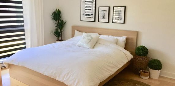 Magnifique condo rénové 4½ de 750 pi² face au parc Père-Marquette, Rosemont Petite Patrie. Dispo 15 juillet. - Photo 2