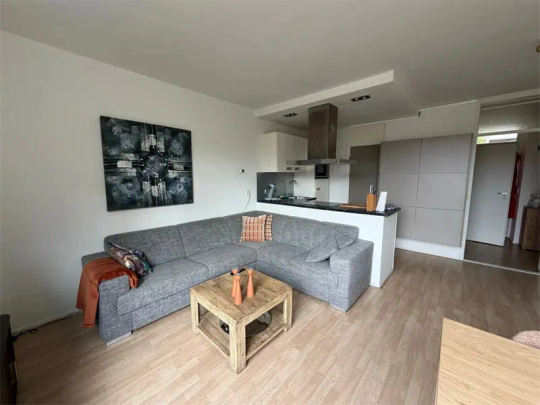 Appartement meublé Vulcanushof, Maastricht - À Louer - Photo 1
