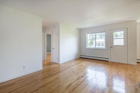 Appartement - 206-425 Rue Leblanc O. - Photo 3