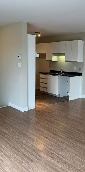 Grand, propre, bien situé, 4 1/2 2 chambres Appartement à louer Lévis /St-Nicolas - Photo 1