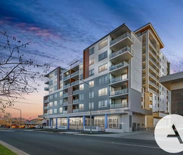 60/77 Gozzard Street, Gungahlin ACT 2912 - Apartment For Rent | Domain - Photo 5