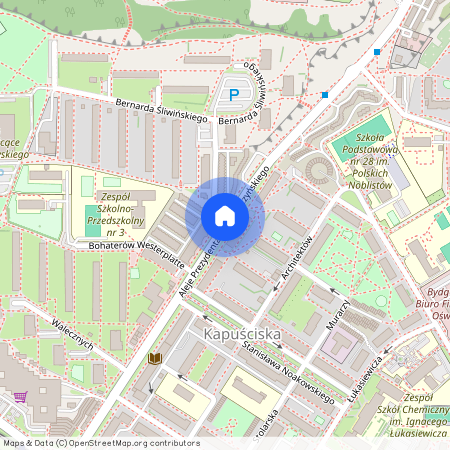 ul. Aleje Prezydenta Lecha Kaczyńskiego, Kapuściska, Bydgoszcz, kujawsko-pomorskie