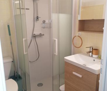 Location Appartement 1 pièce 19m² BRIVE LA GAILLARDE 19100 - Photo 4