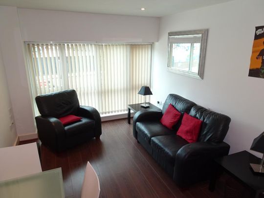 1 bedroom apartment to rent - Photo 1