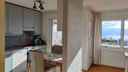 Joli appartement de 2 pièces dans un quartier proche de la nature - Foto 4