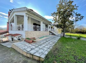Διαμέρισμα για ενοικίαση - Πυλαία, - Photo 3