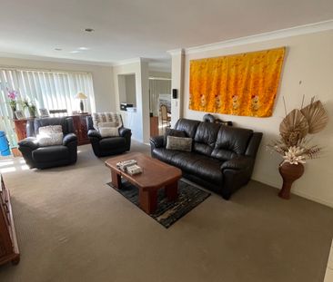 Pacific Pines - Photo 1