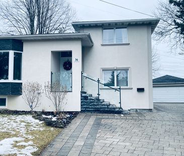 For Lease - 36 Flavian Crescent Unit# Bsmt, Toronto, Ontario - Photo 1