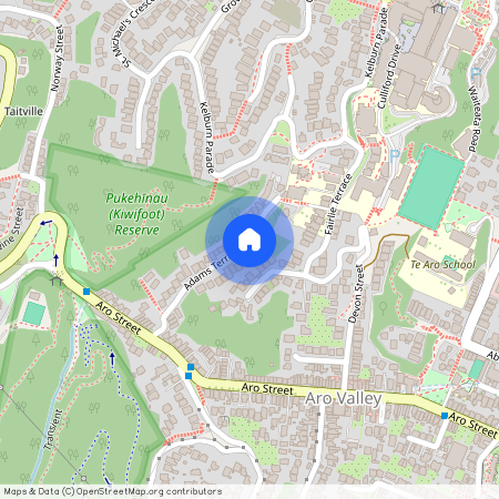 38 Adams Terrace, Aro Valley, Wellington