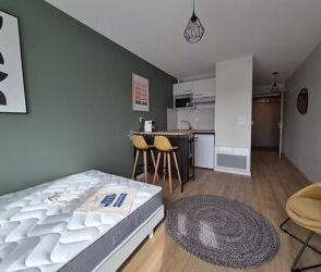 Location Appartement 1 pièces 27 m2 à Albi - Photo 1