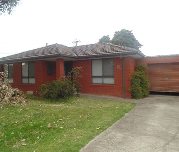 Freshly Renovated - Photo 2