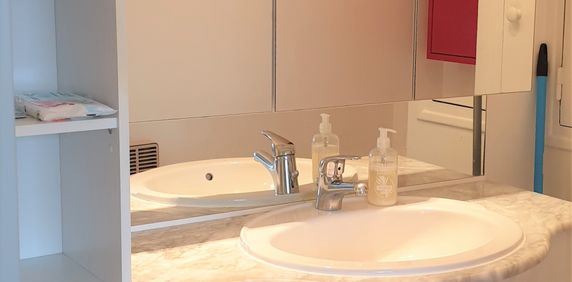 Location Appartement 1 pièce 20m² PONTAULT COMBAULT 77340 - Photo 2