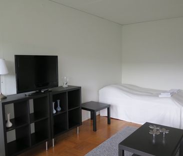 45 m² møbleret lejlighed Glostrup københavn - Photo 1