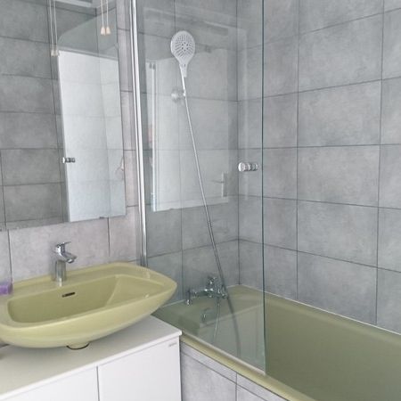 Type 3 traversant vue dégagée - Photo 3