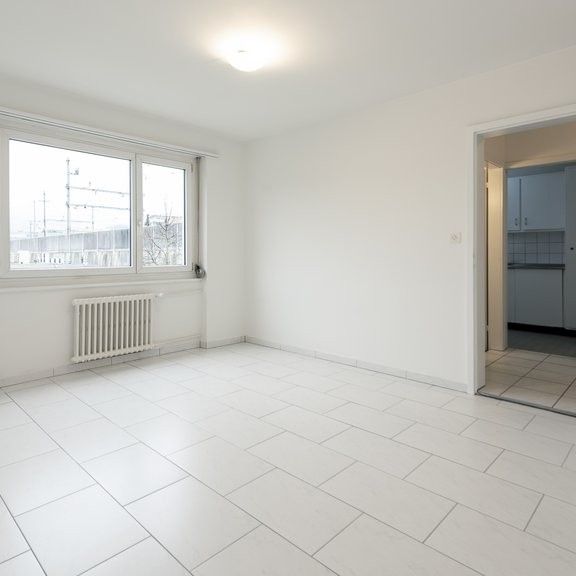 GUT ERSCHLOSSENE WOHNUNG IN OLTEN - Foto 1