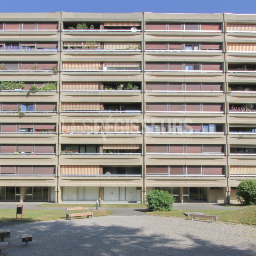 Bel appartement entièrement rénové à Meyrin. - Photo 1