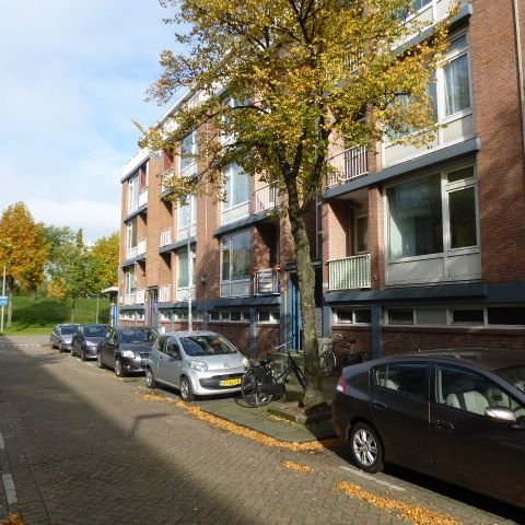 Kraaierstraat - Photo 1