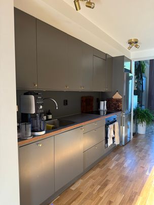 Storseglet, Vega - Foto 1