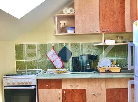 Apartament cu o camera, 35 mp, pet-friendly, bucatarie decomandata, zona Kaufland - Fotografie 3