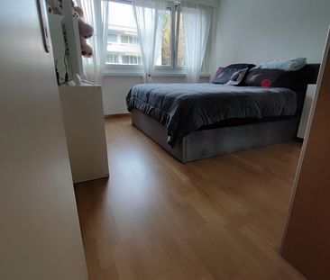 Rent a 3 ½ rooms apartment in Ebmatingen - Foto 1