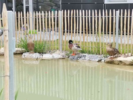 3.5 Zimmer, 96 m², EG - Photo 4