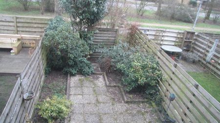 Te huur: Kamer Dovenetel in Apeldoorn - Photo 5