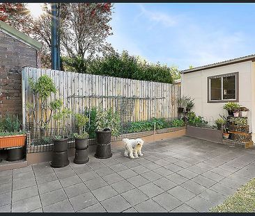 24 Porter Ave, Marrickville, NSW 2204 - Photo 1