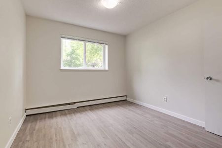 Renovated Suite - 1 Bedroom - Photo 4