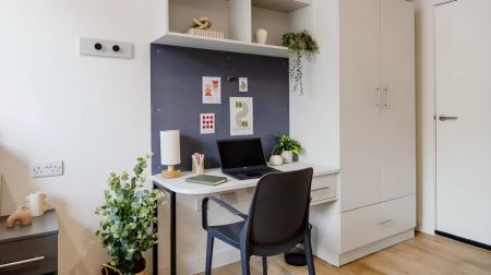 Deluxe Studio - Photo 3