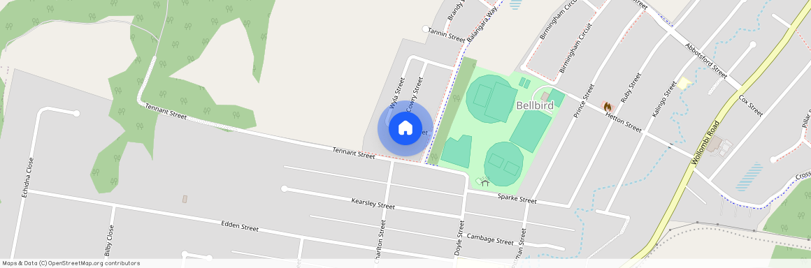 17A BURRIL STREET, NSW 2325, Bellbird